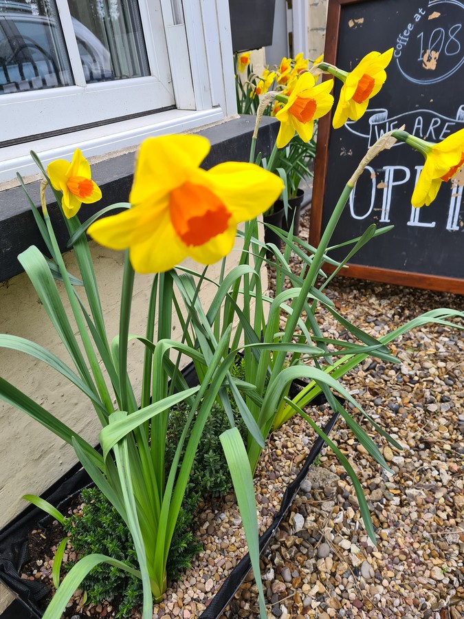 Coffee at 108 London Road